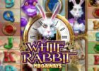 White Rabbit Megaways Slot Review